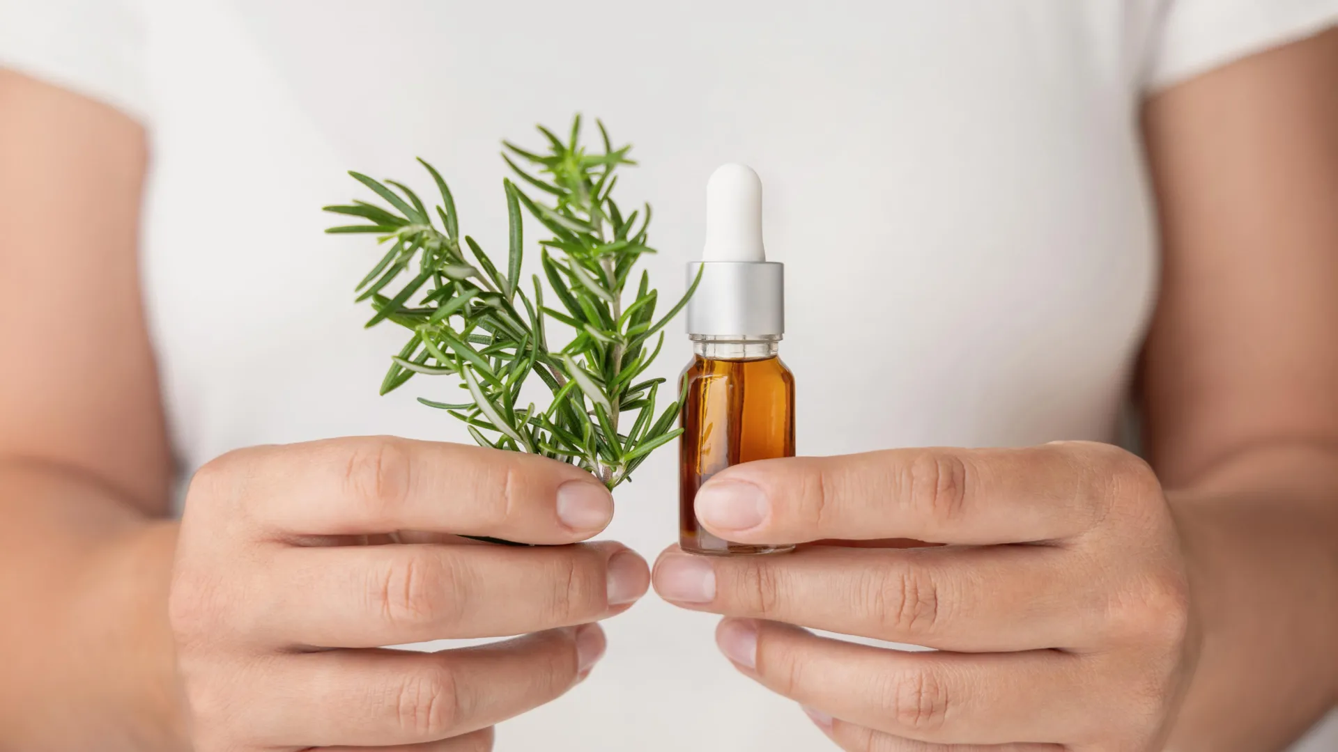 Rosemary Extract Shown to Have Anti-Aging Benefits in Skincare