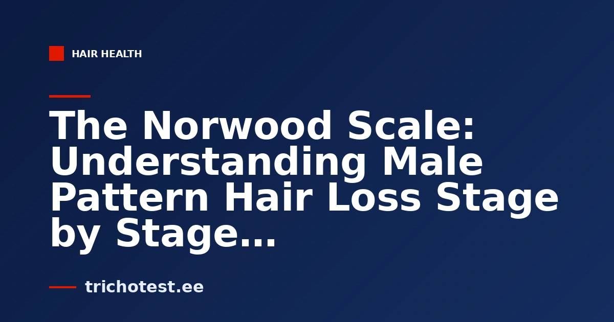 The Norwood Scale: Understanding Male Pattern Hair Loss Stage by Stage