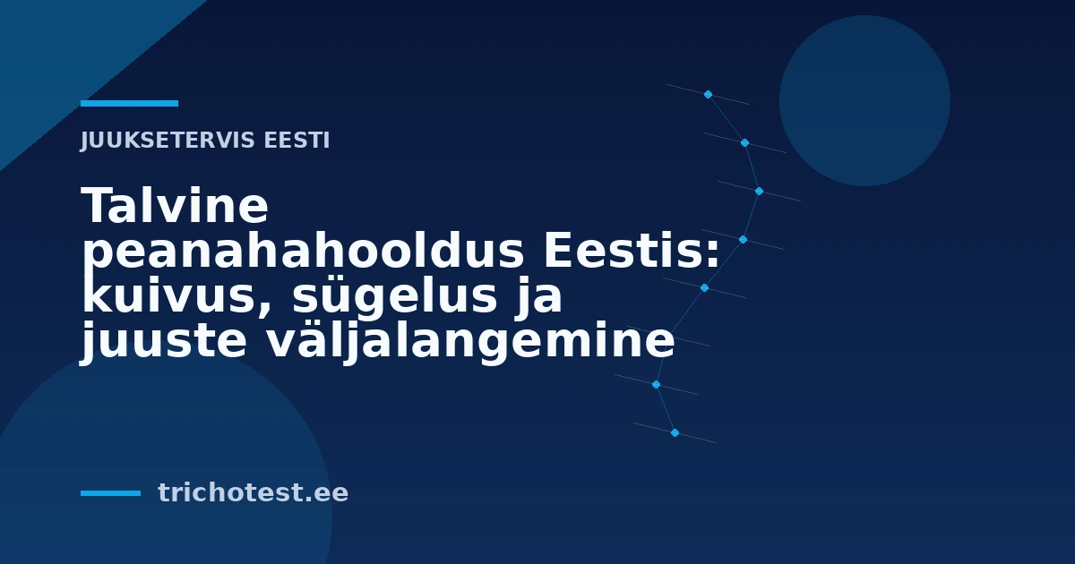 Talvine peanahahooldus Eestis: kuivus, sügelus ja juuste väljalangemine